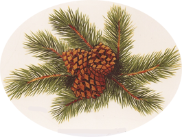 Pine and pinecone pottery pattern from Hobby Farm Pottery